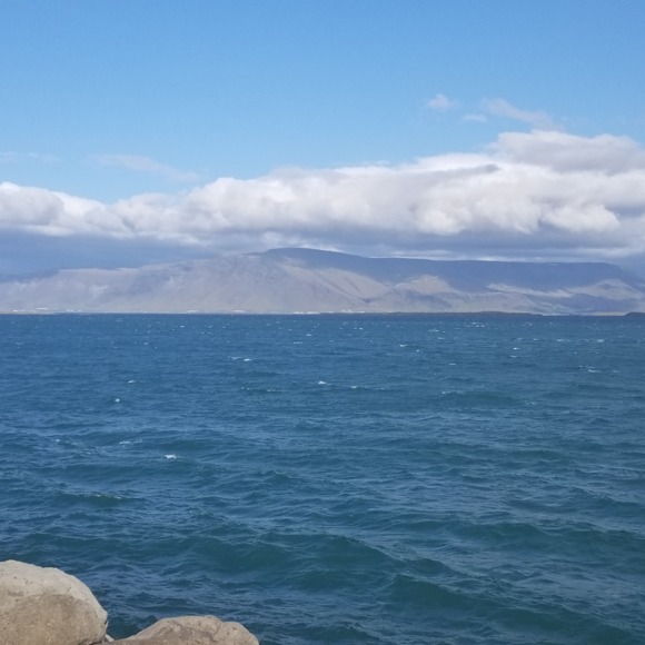 Meet your Posher, Teetee - Picture 1 of 1